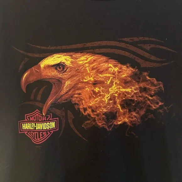 Harley Davidson Wichita Kansas Eagle TShirt Men's Large Biker Vintage Motorcycle - Picture 2 of 5